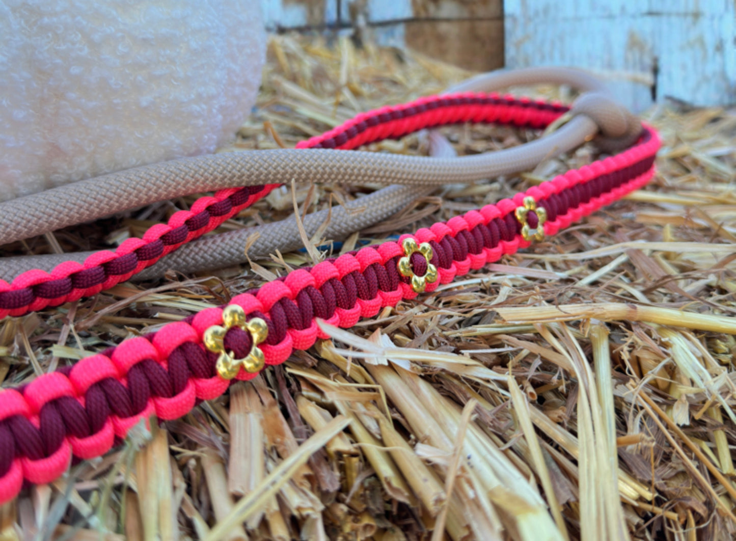 Hundeleine Tau x Paracord