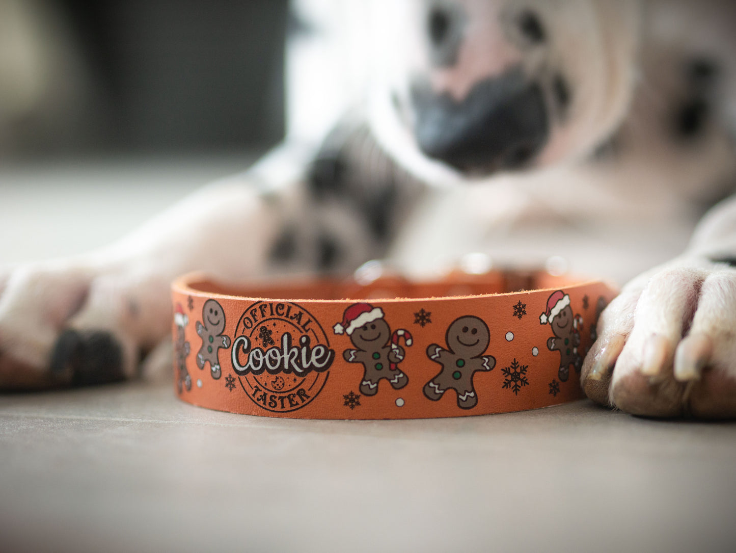 Weihnachtskollektion 2025