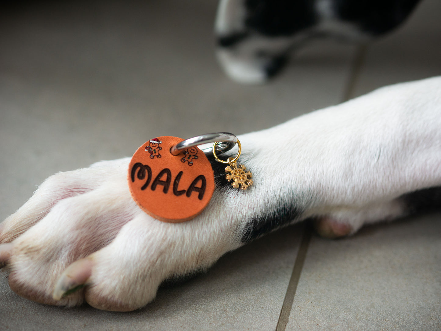 Weihnachtskollektion 2025