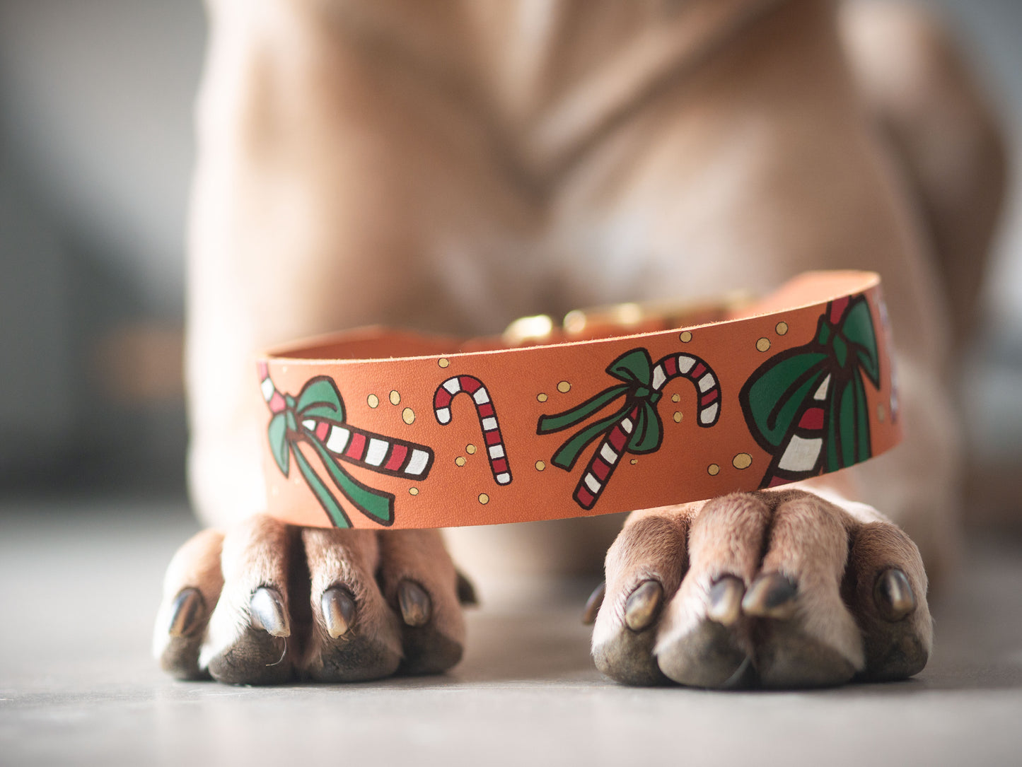 Weihnachtskollektion 2025