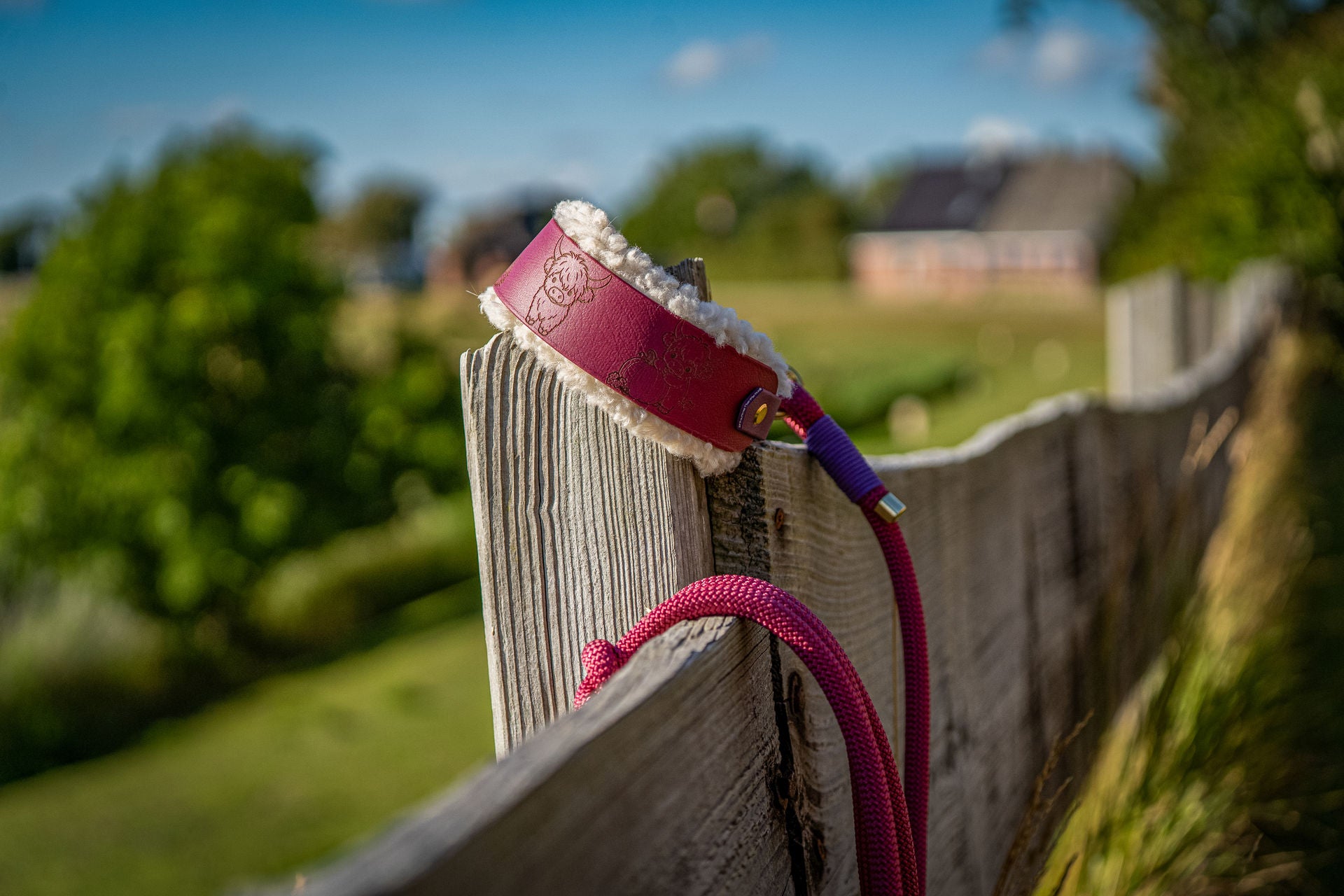Halsband Moo & Berry