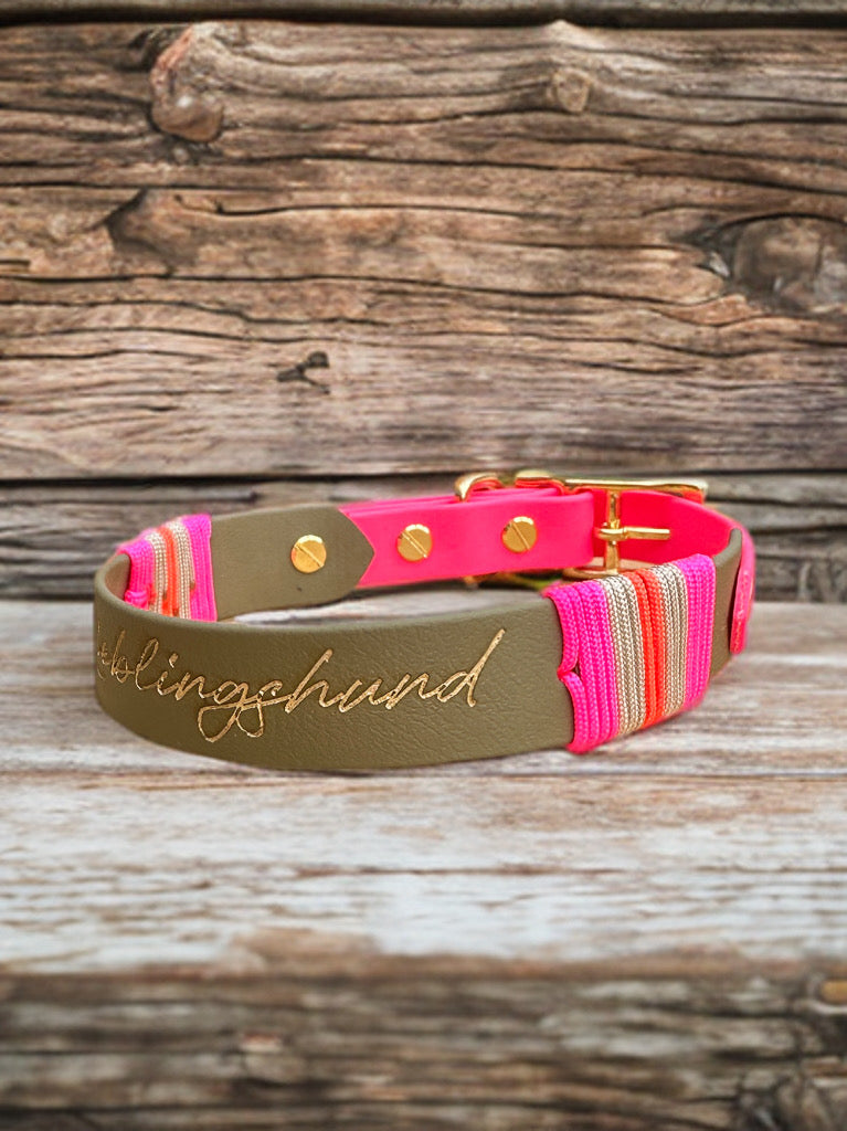 Biothane Halsband