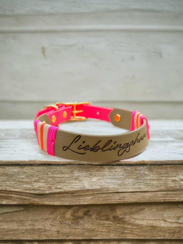 Biothane Halsband