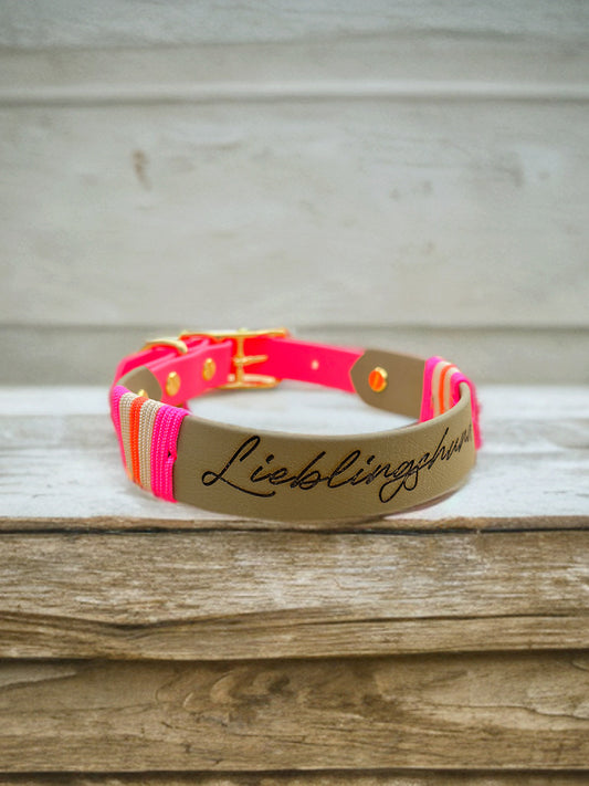 Biothane Halsband
