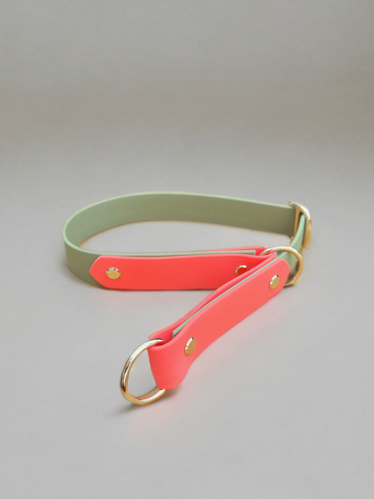 Color Mix Biothane Zugstopp Halsband