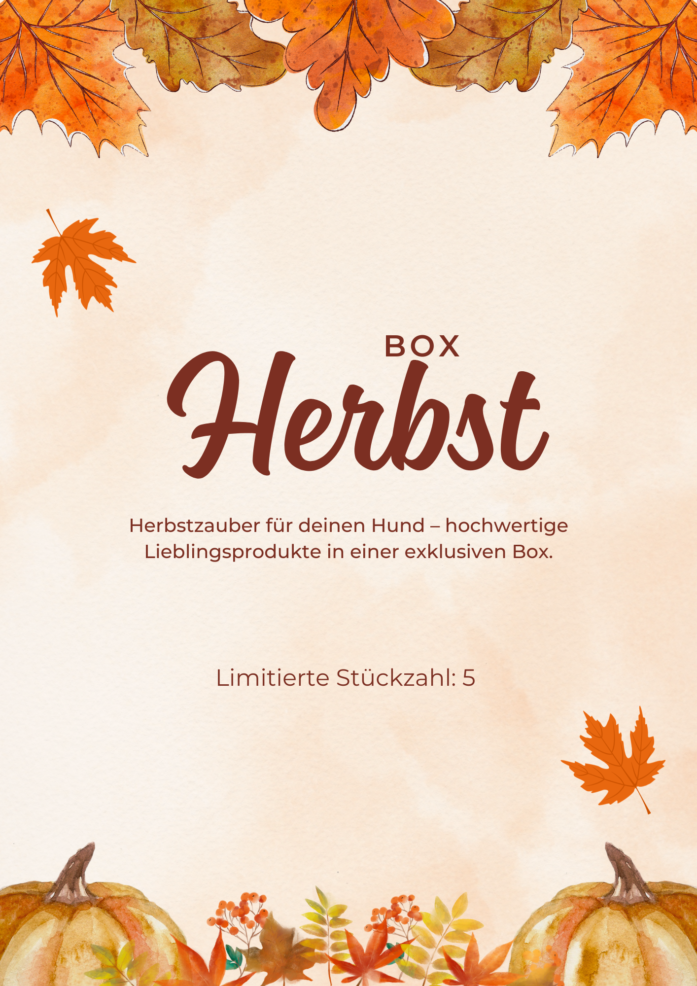 Herbst Box