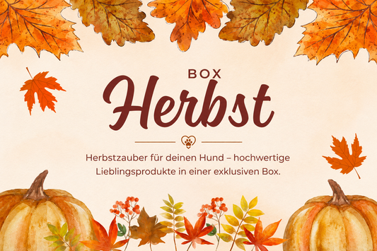 Herbst Box