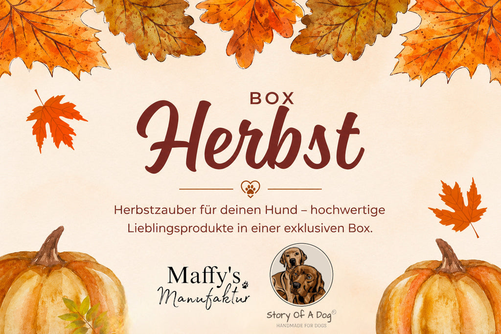 Herbst Box