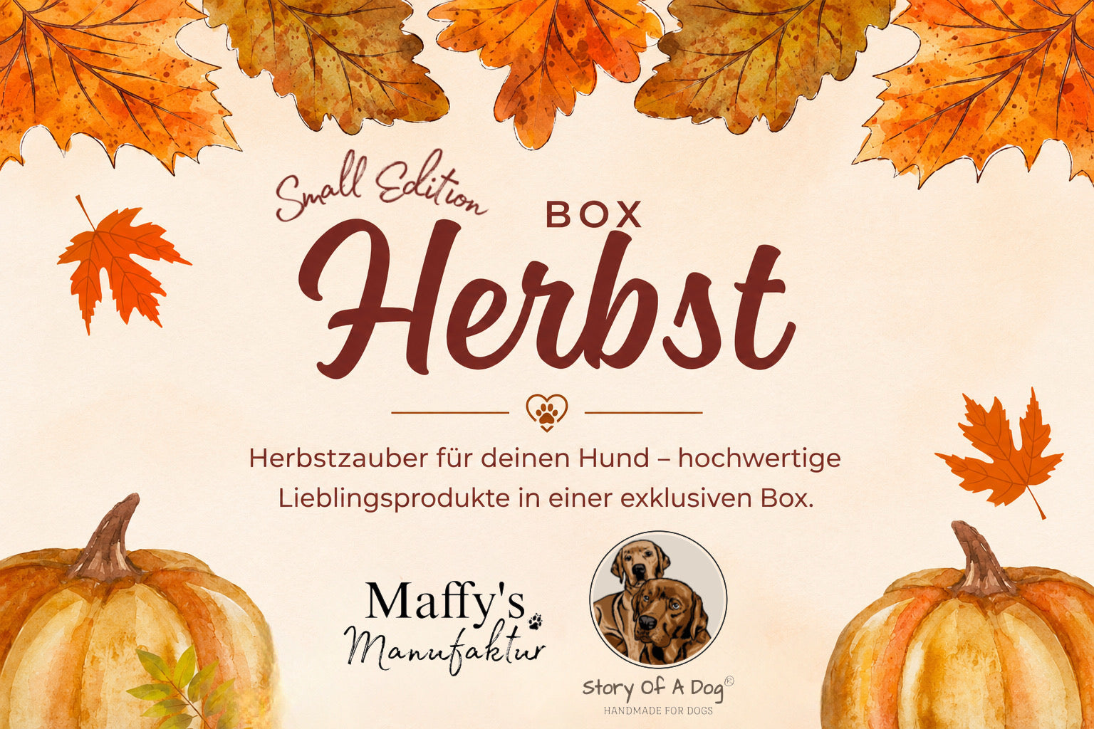 Herbstbox Small Edition