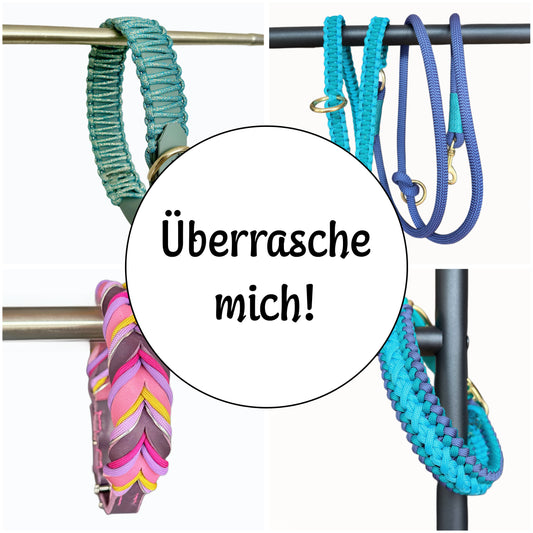 Überraschungshalsband