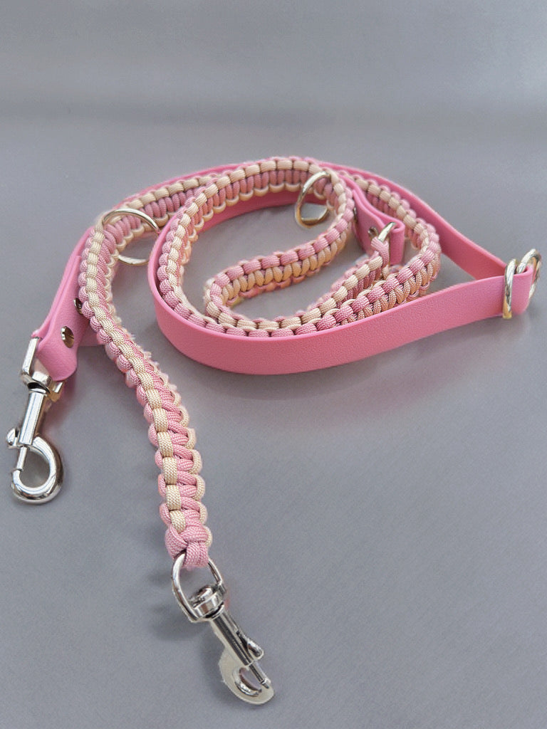 Biothane x Paracord